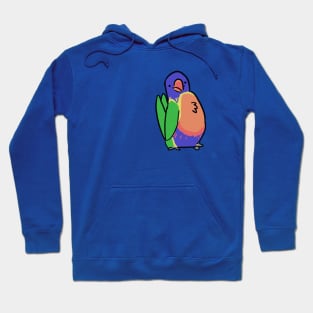 Rainbow Lorikeet Hoodie